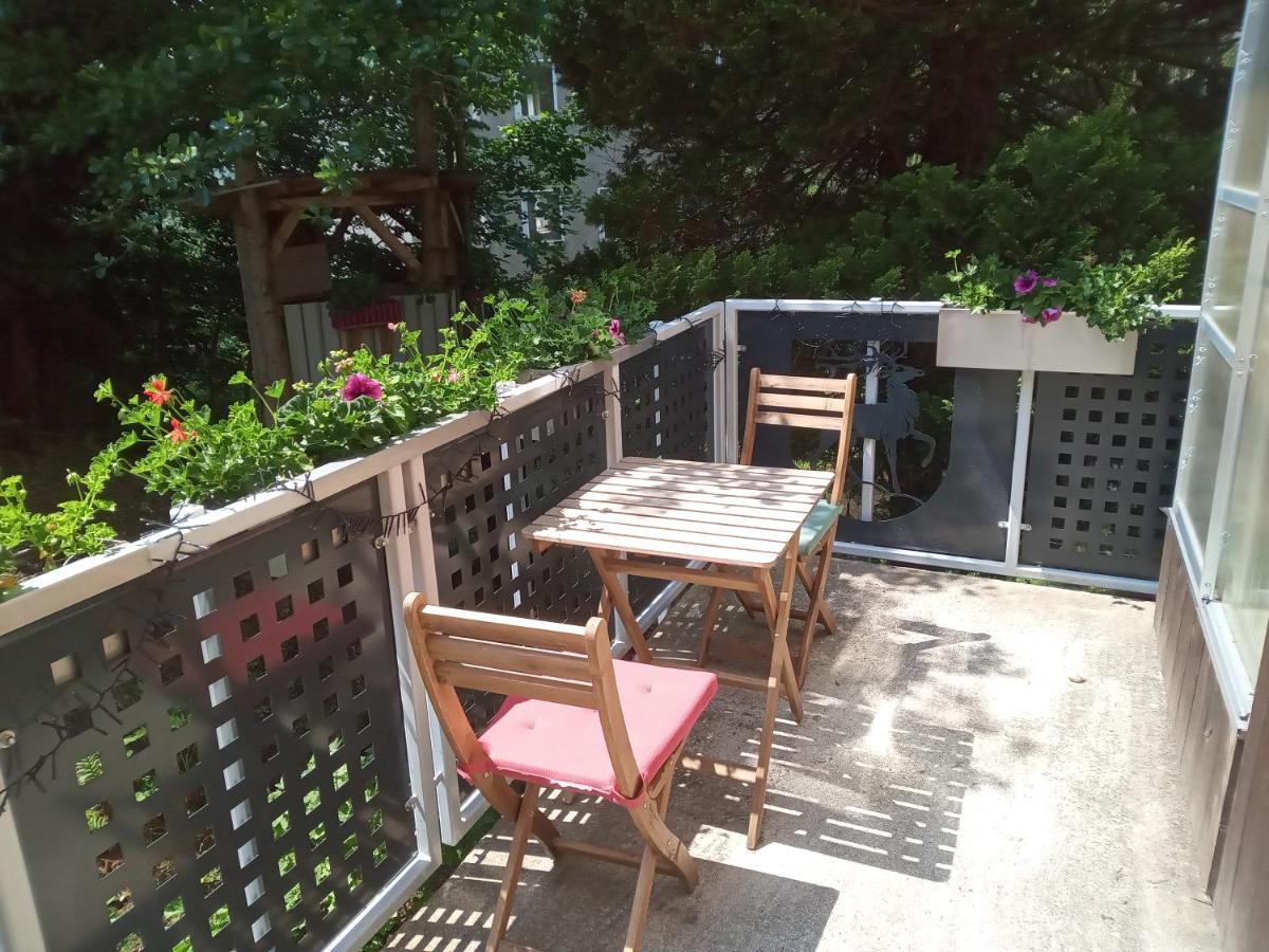 Ferienwohnung Zum Sebnitzer Hirsch 외부 사진